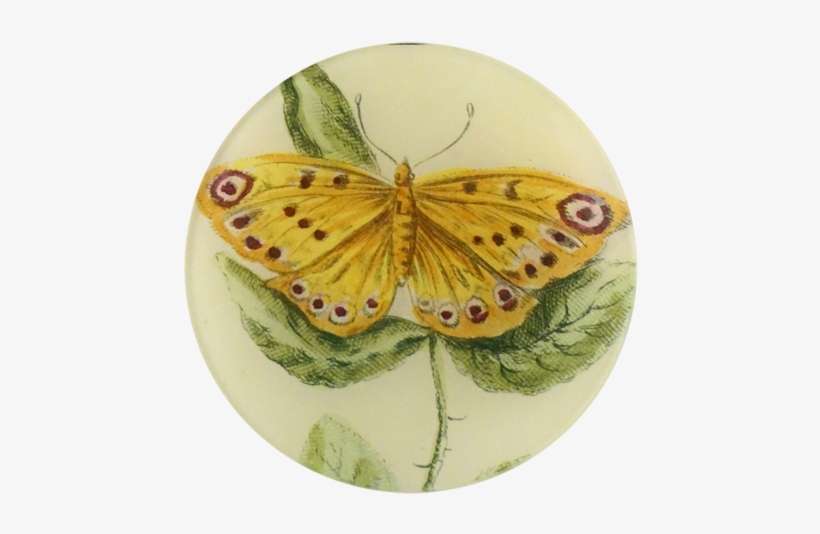 Yellow Butterfly Yellow Butterfly - Silver-washed Fritillary, transparent png download