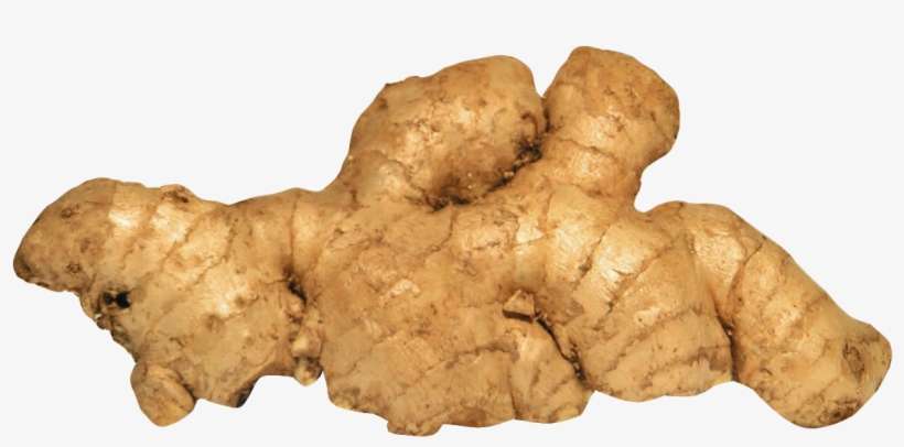 Ginger Png, transparent png download