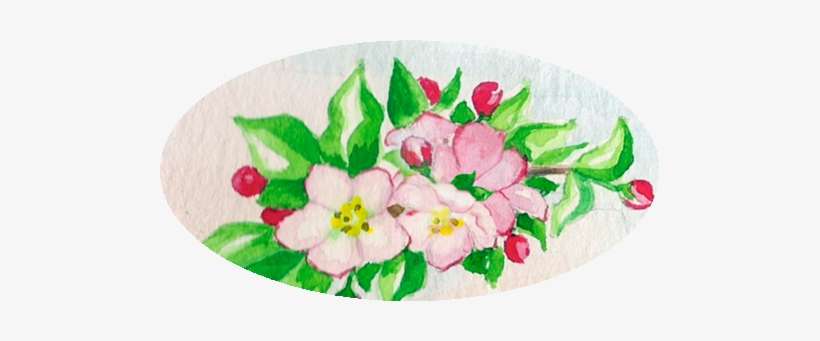 This Is My Third Banner And I Think It Fits In Very - Rosa Arkansana, transparent png download