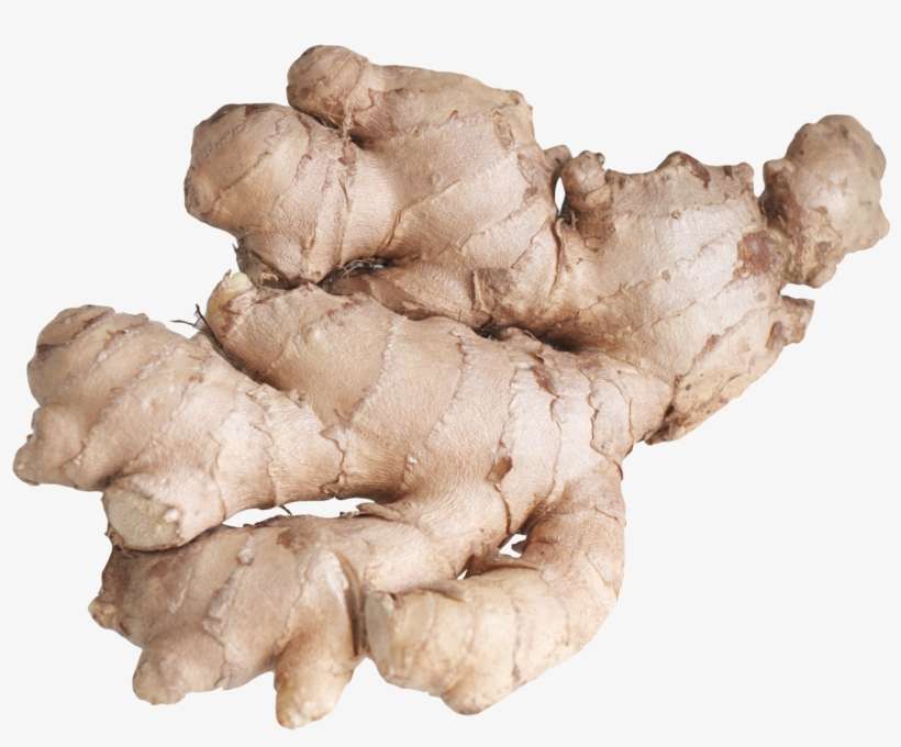 Ginger Png, transparent png download