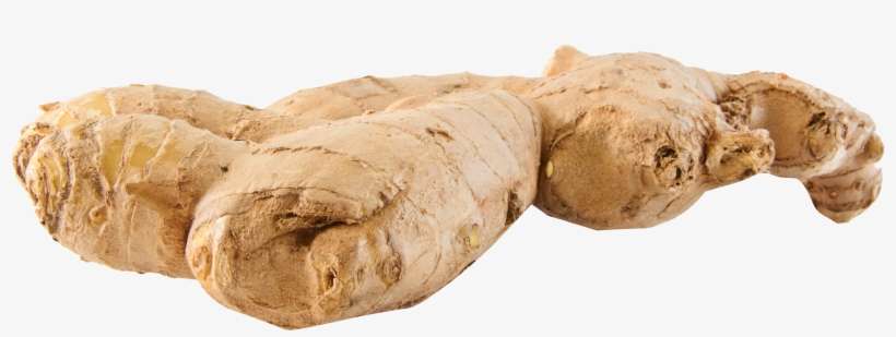 Download 3156 X 1134 - Ginger .png | Transparent PNG Download | SeekPNG