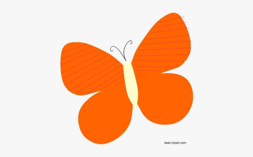 Orange Butterfly Clip Art, transparent png download
