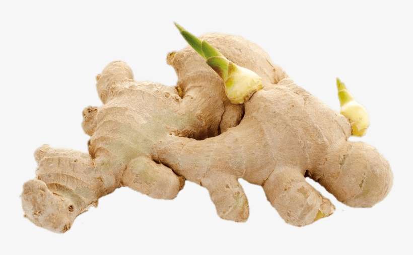 Food - Spice Crops Of India - 2014 Edition, transparent png download