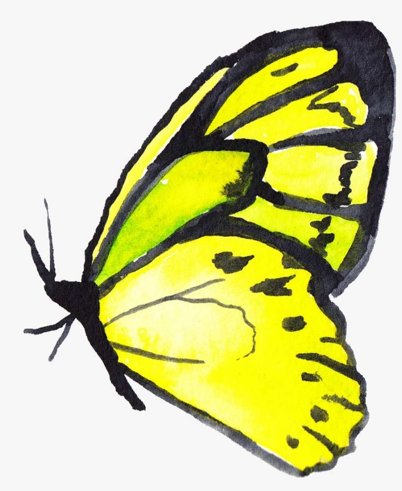Bright Yellow Butterfly Transparent Decorative - 黄 蝴蝶, transparent png download