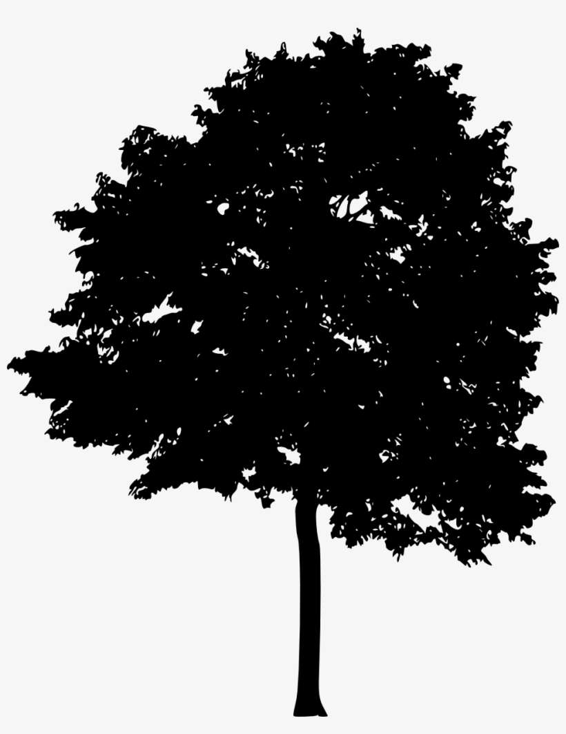 Free Download - Silueta De Arboles Png, transparent png download