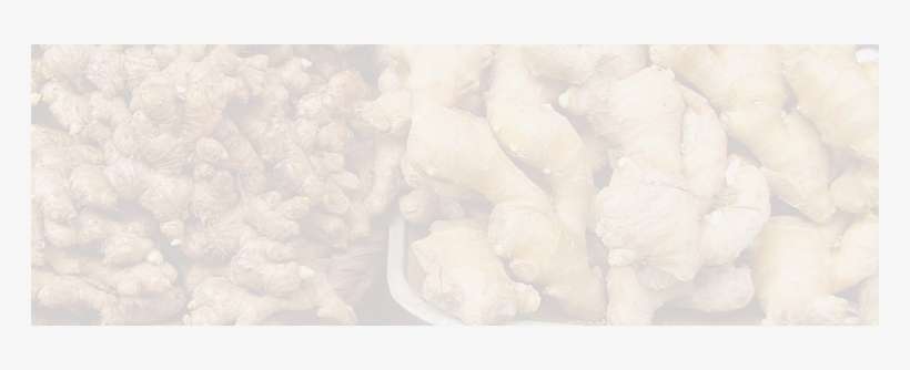 Ginger About License Documentation Download Gallery - Visual Arts, transparent png download