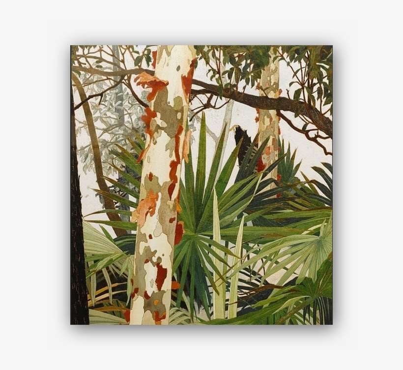 Liv On Twitter - Cressida Campbell, transparent png download