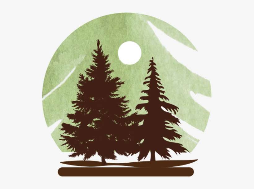 "offering Hope In A Bottle With Our - Christmas Tree, transparent png download