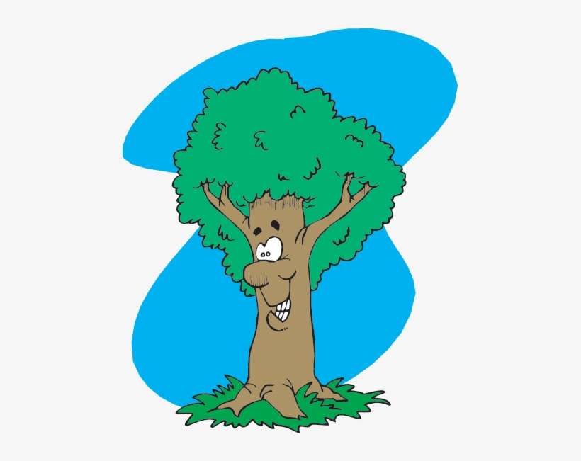 Lots To Do And Learn About Forests And Trees At Idaho - Teacher, transparent png download