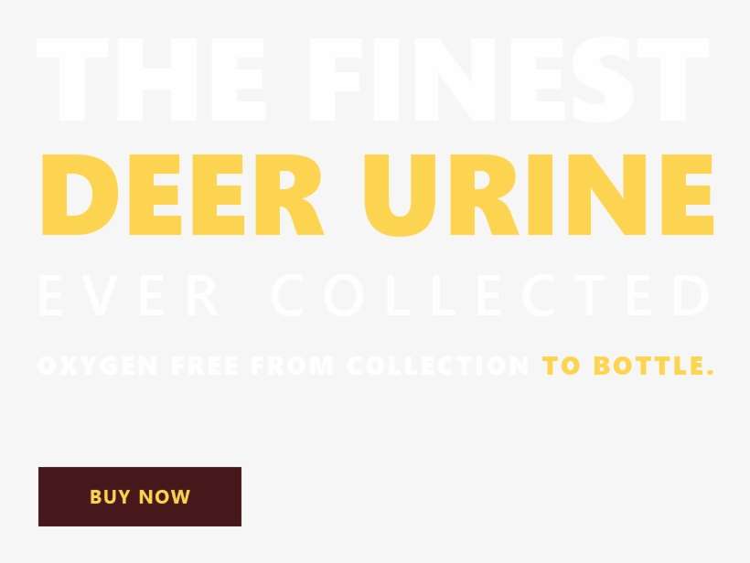 Top Secret Deer Scent Main Slider Text Image Deer Urine - Learn And Understand Ceo Career, transparent png download