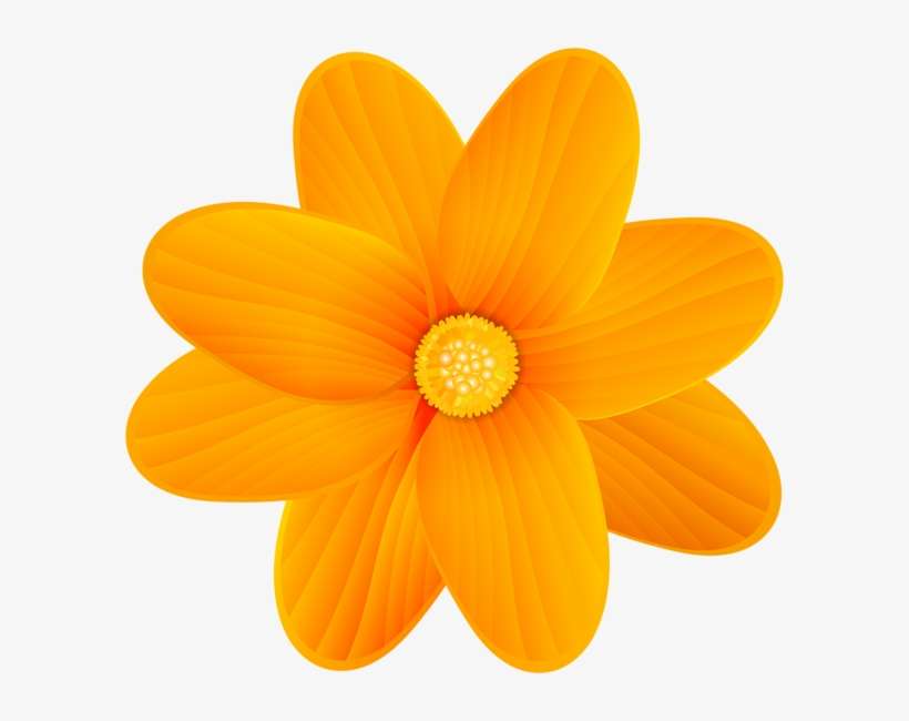 Orange Flower Png Clip Art Image - Flor Naranja Png, transparent png download