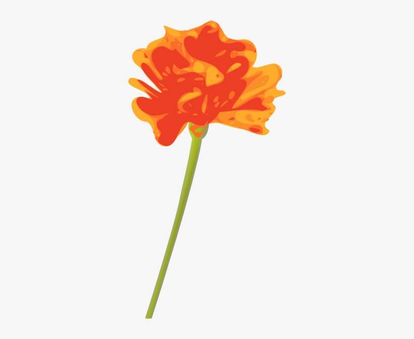 Orange Flower Clipart, transparent png download