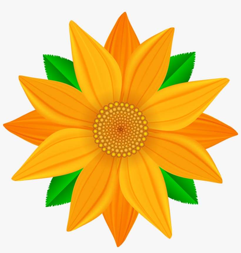 Transparent Flower Orange Background, transparent png download