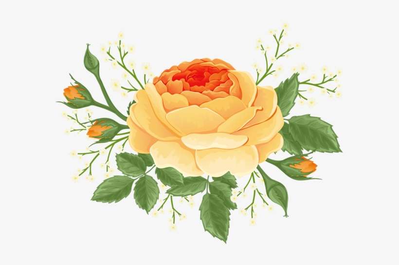 Orange Rose With White Flowers Png Clip Art Image - Hybrid Tea Rose, transparent png download