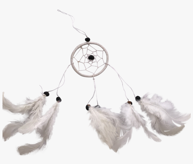 Dreamcatcher Xs White - Dream Catcher Png Transparency, transparent png download