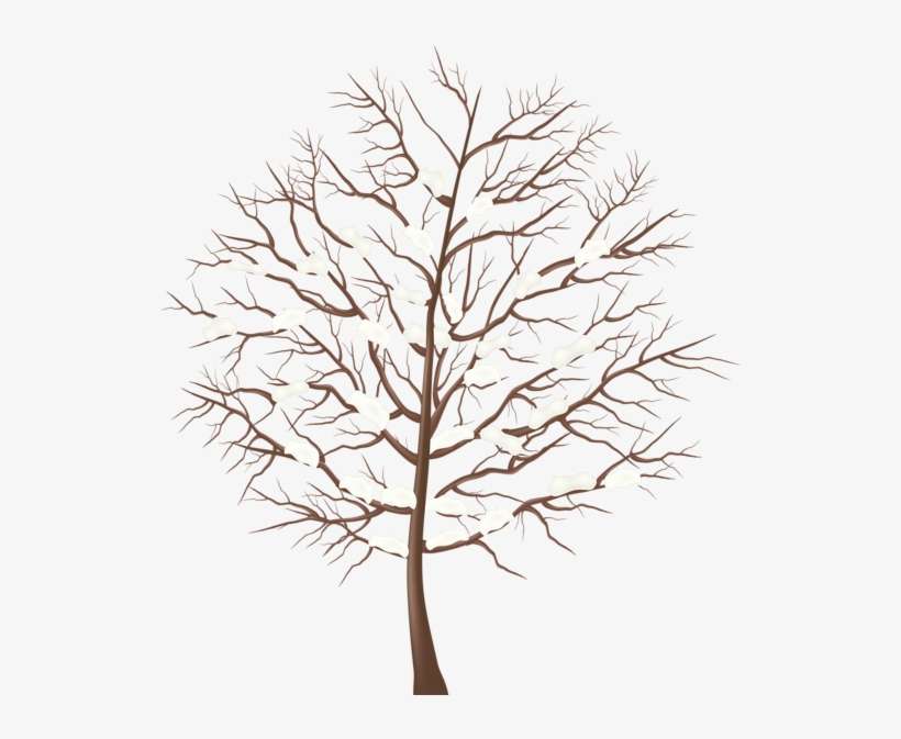 Winter Tree Transparent Png Clip Art Image - Winter Tree Clipart Png, transparent png download