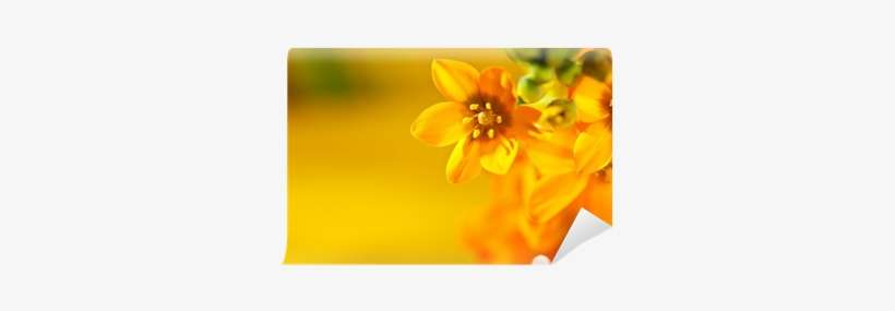 Color, transparent png download