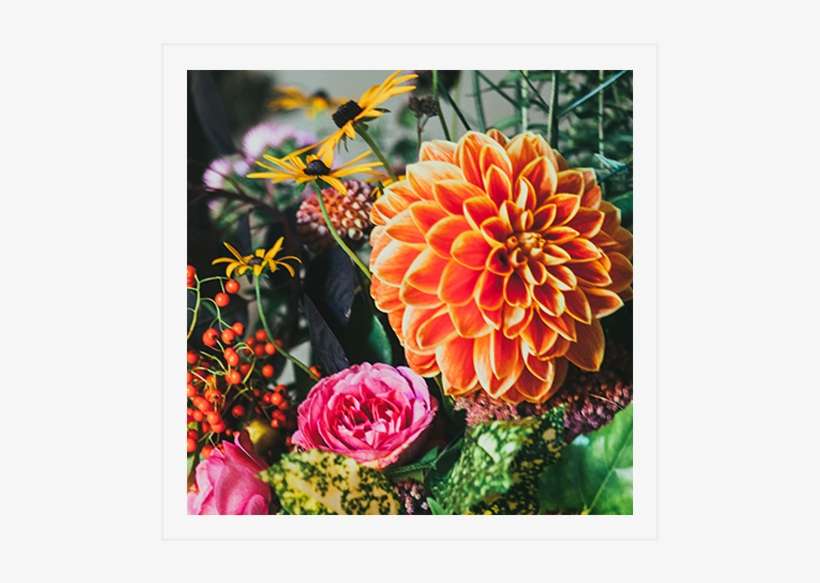 Flowers - " - Siembra De Flores, transparent png download