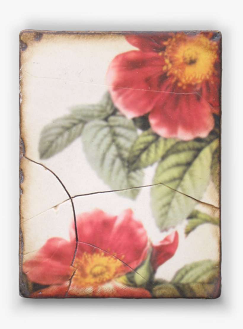 Pompadour - Spring - Sid Dickens, transparent png download