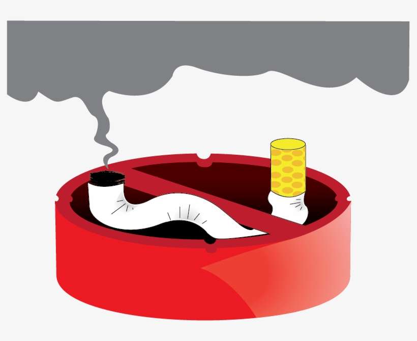 Miami Is Not A - Miami, transparent png download