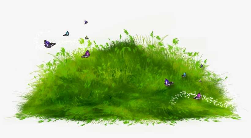 Grass Hill Nature Garden @laetitiadez - Stickers For Picsart Garden, transparent png download