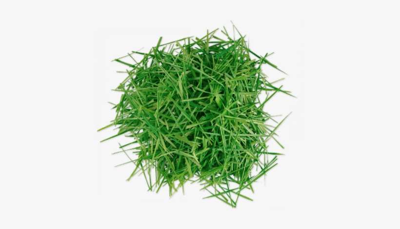 Grass Clipping Mulch Grass Clippings Png Image Transparent Png Free Download On Seekpng