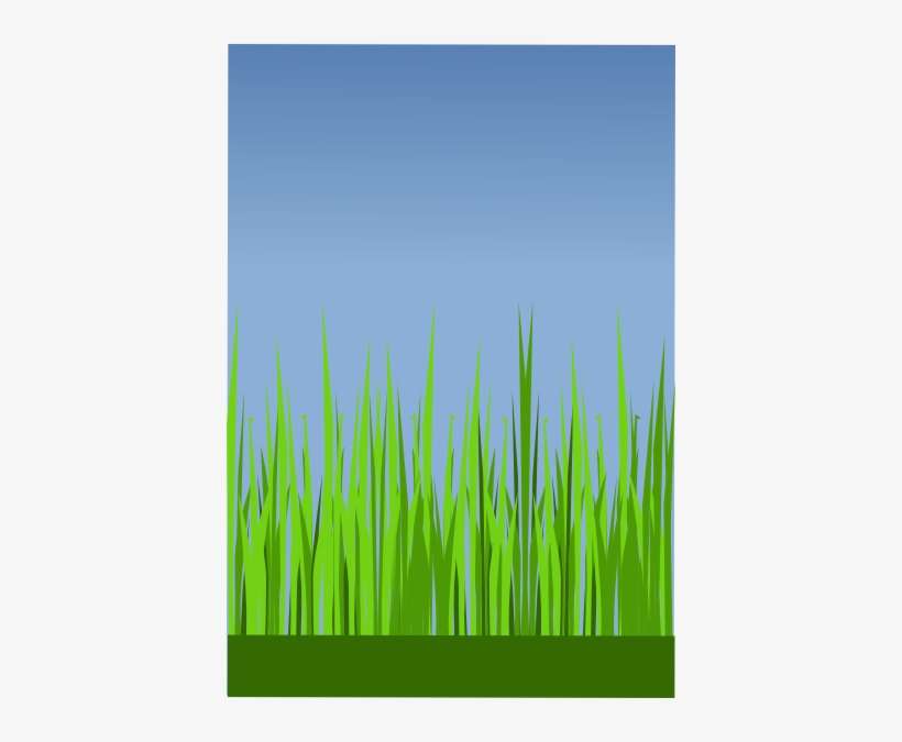 Grass 6 Clip Art - Grass, transparent png download