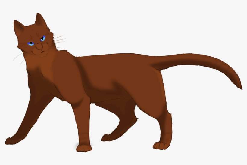 Warrior Cats Png - Warrior Cats Cats Png, transparent png download