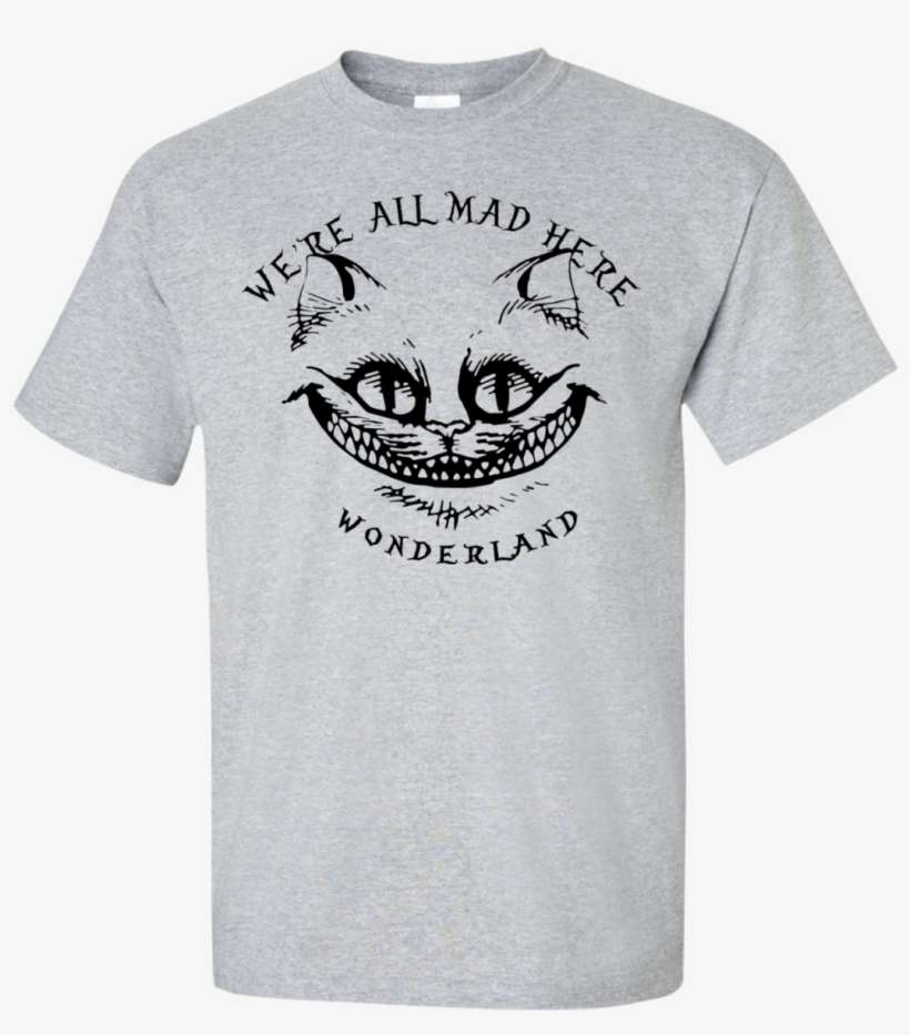 Cool Detroit Lions Tshirts, transparent png download