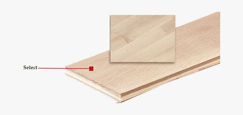 The Combination Creates A Floor Where The Light Sapwood - California, transparent png download