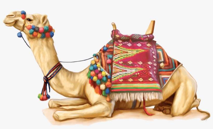 Camel Illustration - Camel Png, transparent png download