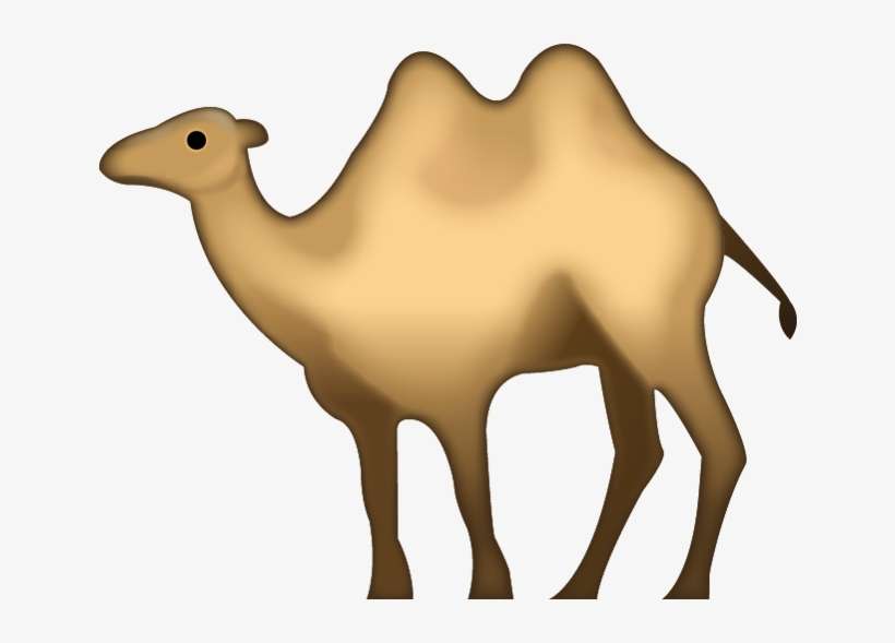 Download Ai File - Camel Emoji, transparent png download