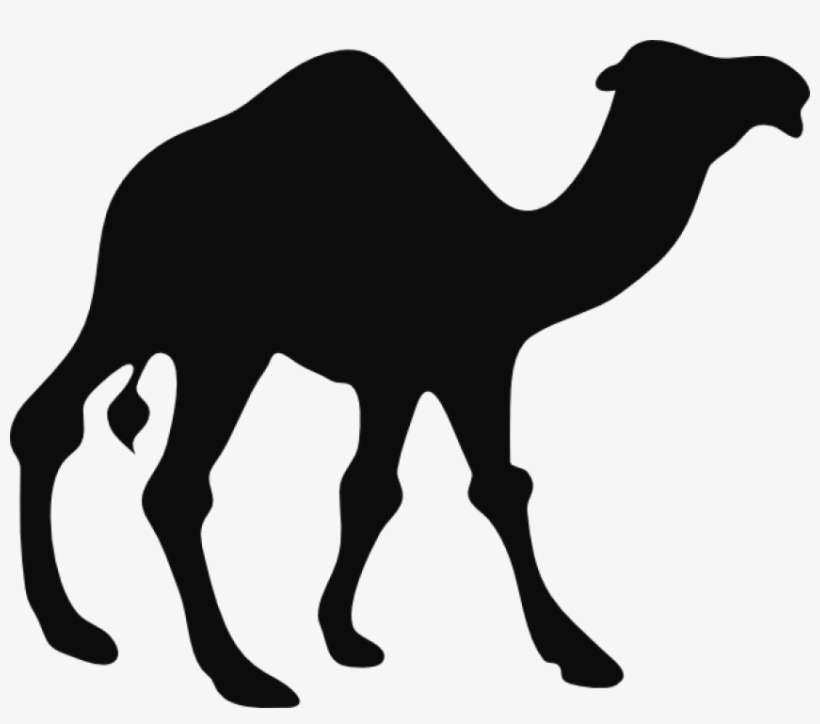 Free Png Camel Png Images Transparent - Camel Silhouette, transparent png download