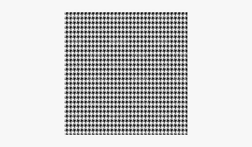 Pied De Poule - Photograph, transparent png download