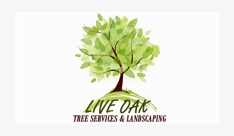 Services - Relay For Life Logo 2011, transparent png download