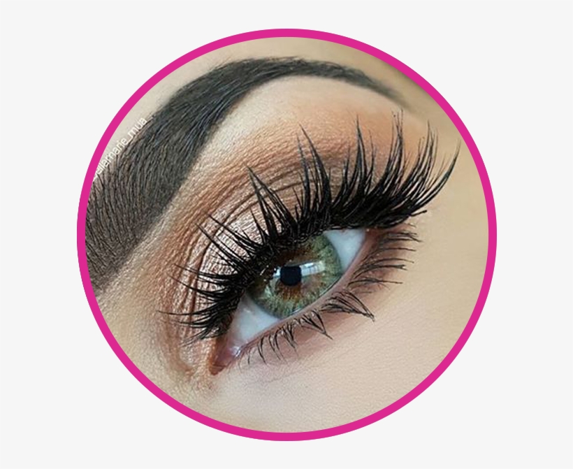 Lilly Miami Lashes, transparent png download