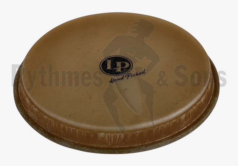 Lp Animal Head For Bongo Ø8" 5/8 - Circle, transparent png download