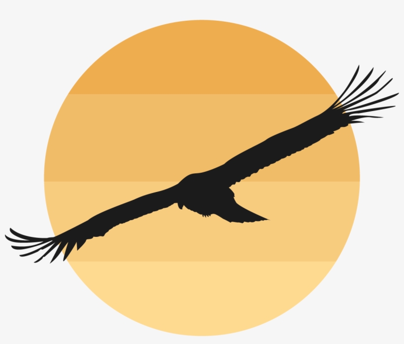 Geese In The Sun Clipart - صور طيور مع غروب شمس, transparent png download