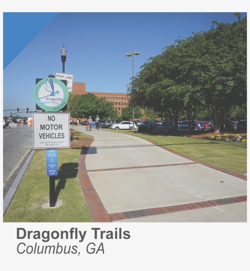 Home-columbusdragonfly - Sidewalk, transparent png download