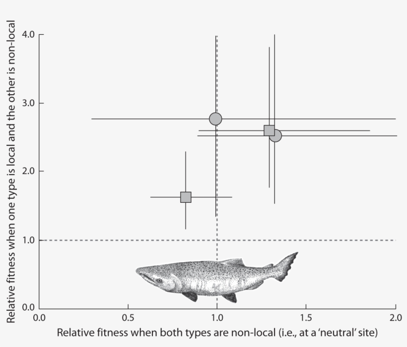 Typer Shark Free Download Dengan