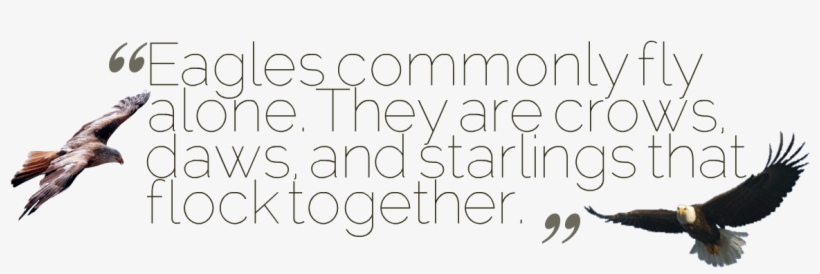Alone Quotes Transparent Image - Eagle, transparent png download