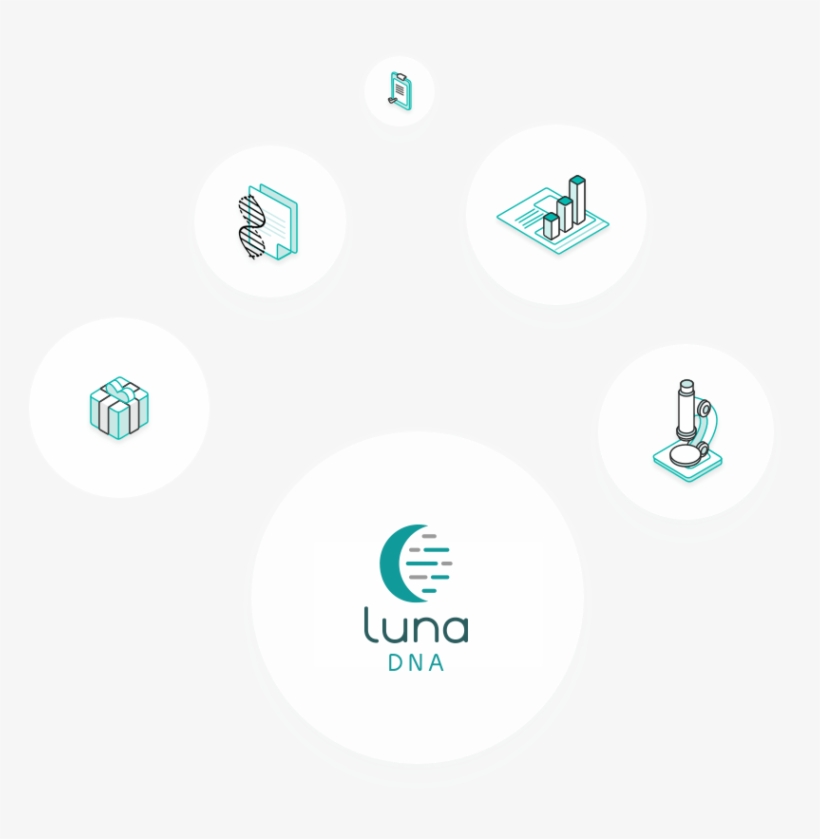 Share Data - Circle, transparent png download