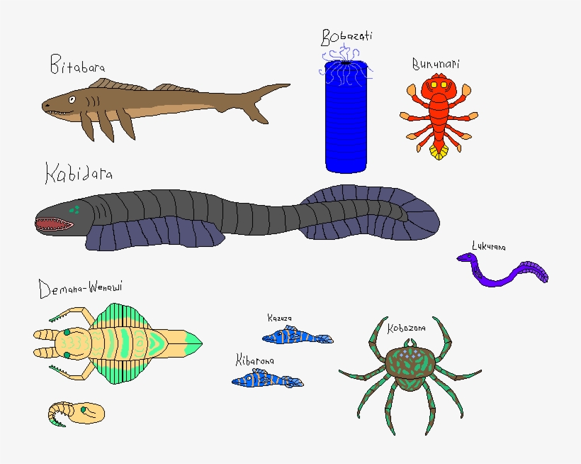 Nafine Sea Life - Insect, transparent png download