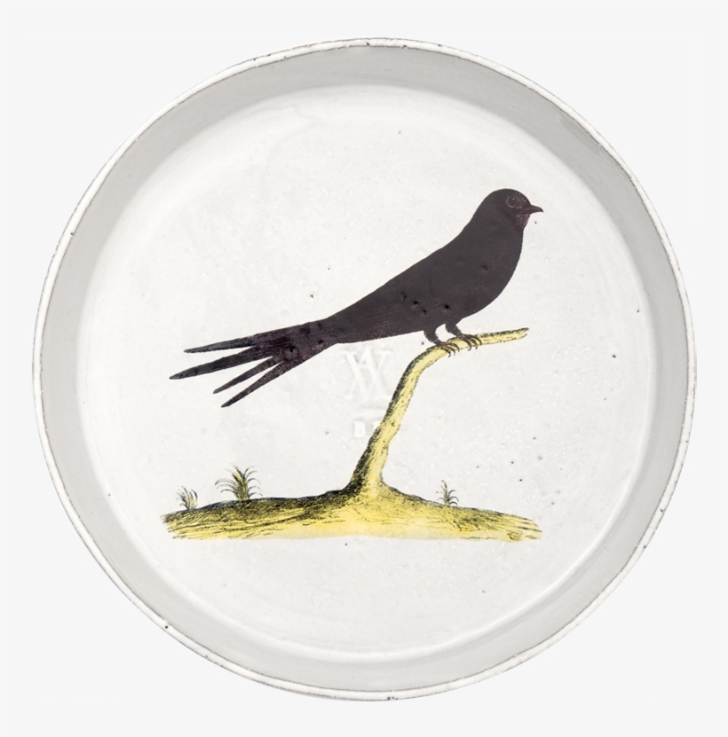 Blackbird, transparent png download