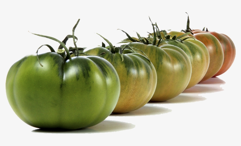 Tomate Asurcado - Tomate Raf, transparent png download