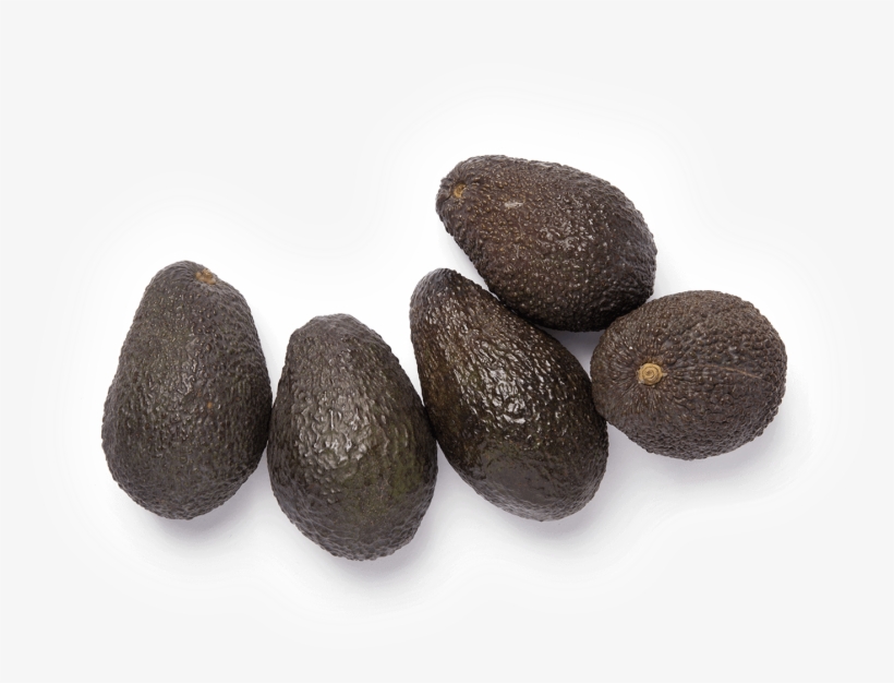 Avocado, transparent png download