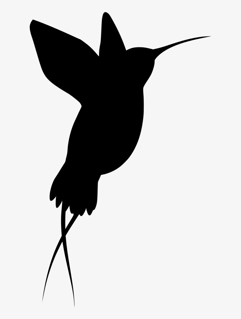 Download Png - Hummingbird, transparent png download