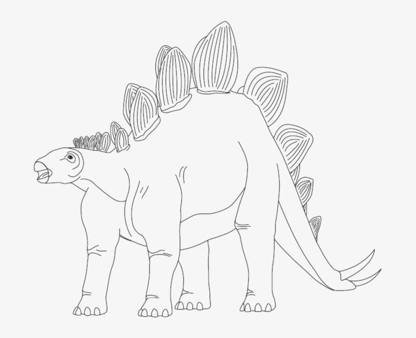 A Few Facts About Stegosaurus - Line Art, transparent png download