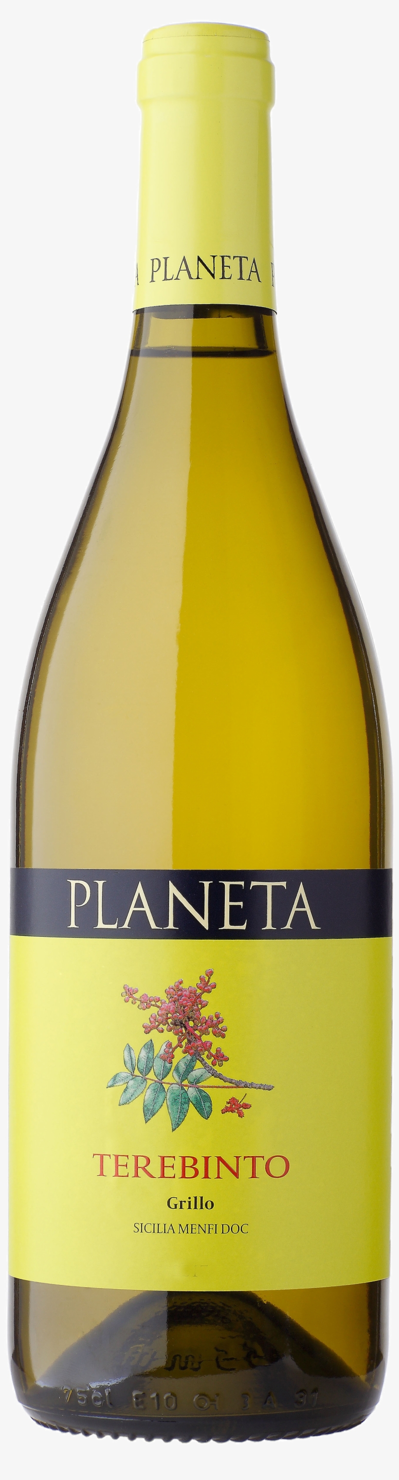 Planeta Terebinto Grillo 2017, transparent png download