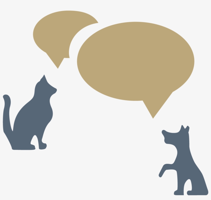 Plan - Illustration, transparent png download